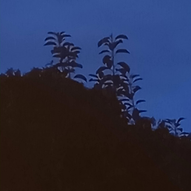 (demo) cover art