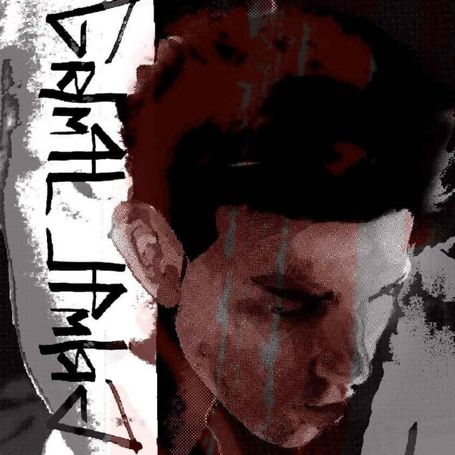 GRIM4L cover art