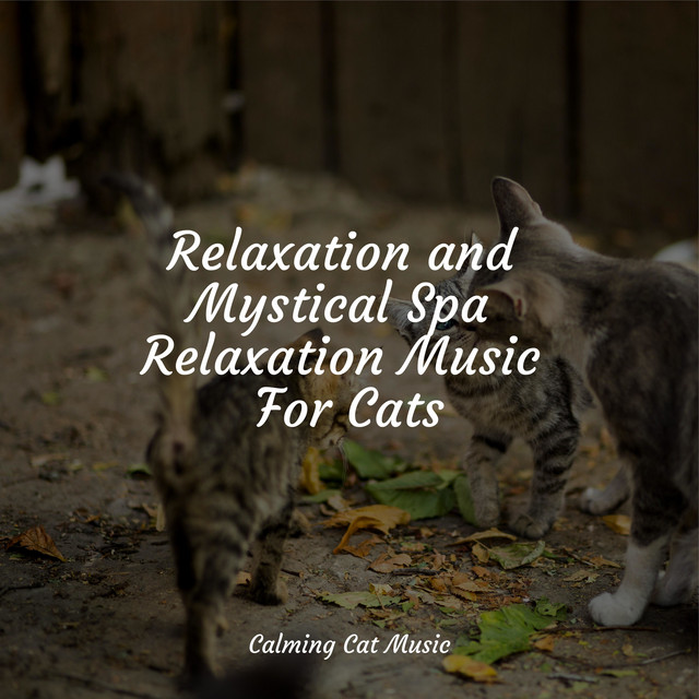 Music for Deep Sleep - song and lyrics by Jazz Music Therapy for Cats ...
