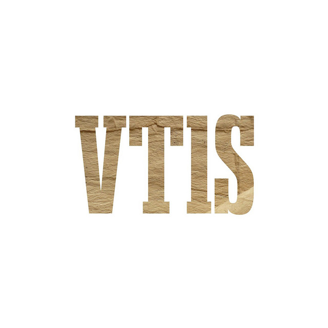 VT1S cover art