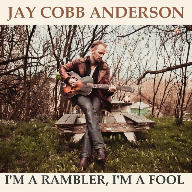 I'm a Rambler, I'm a Fool cover