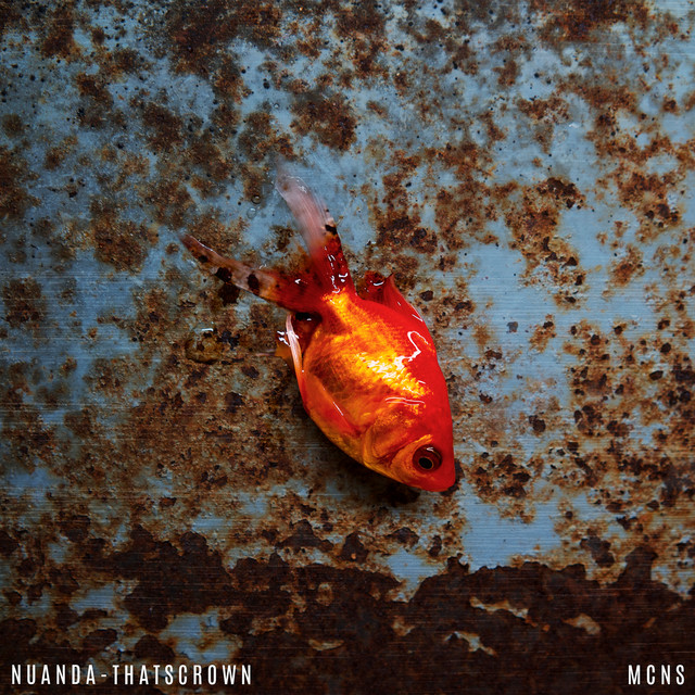 MCNS cover art