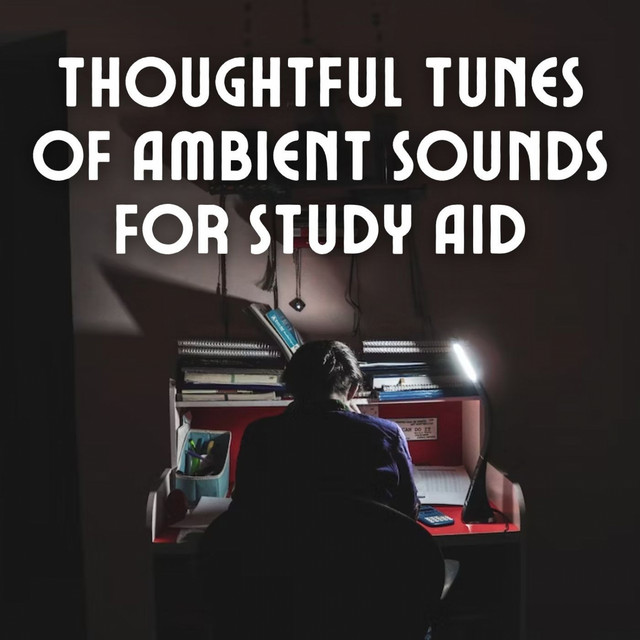 Thoughtful Tunes of Ambient Sounds for Study Aid cover art