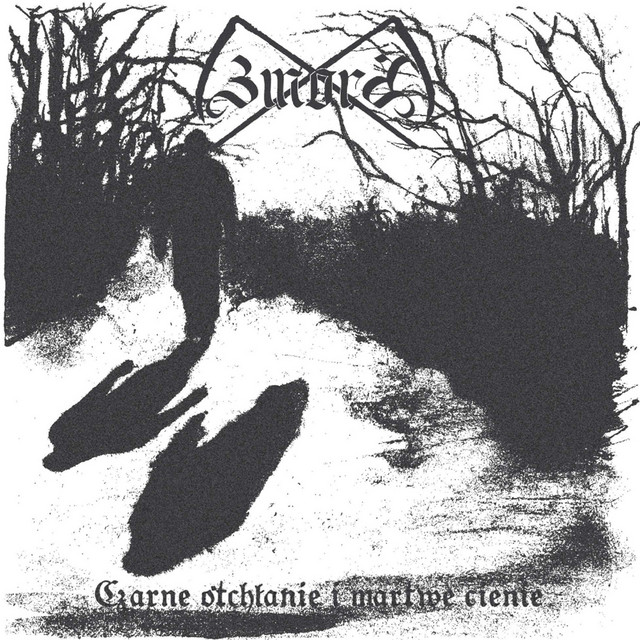 Czarne otchłanie i martwe cienie cover art