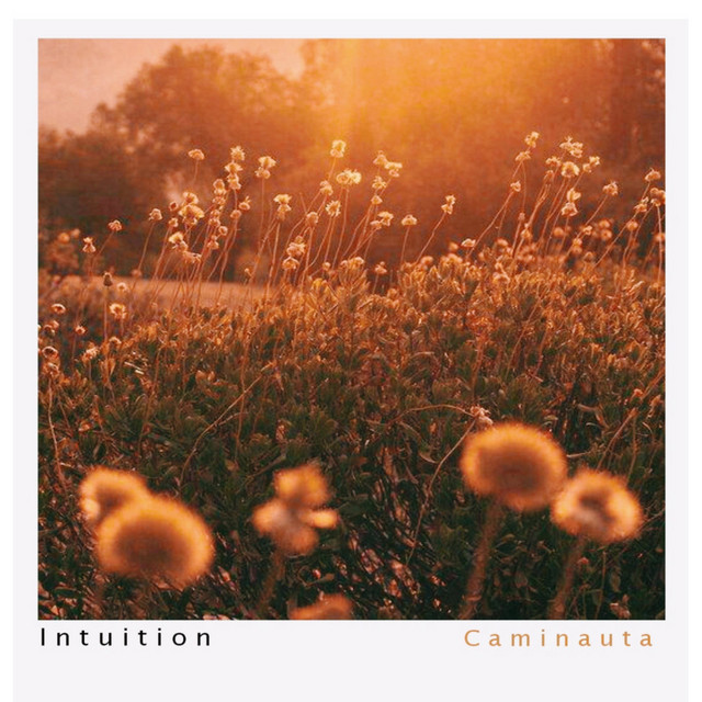Intuition cover art