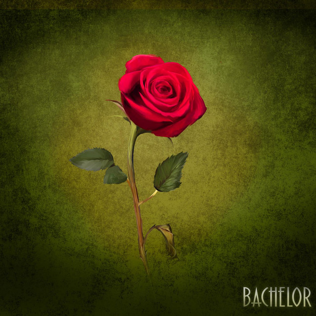 Bachelor cover art