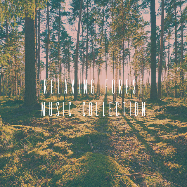 Ambient Streams of Medtation cover art