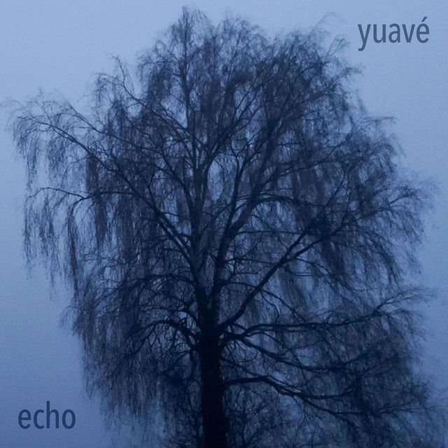 echo cover art