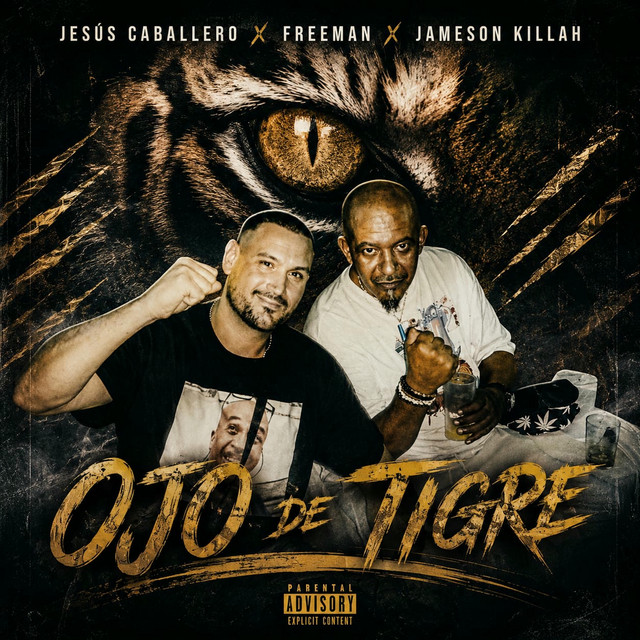 ojo de tigre artwork