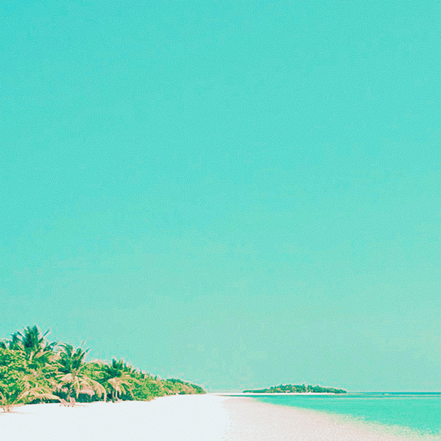 Paradise cover art