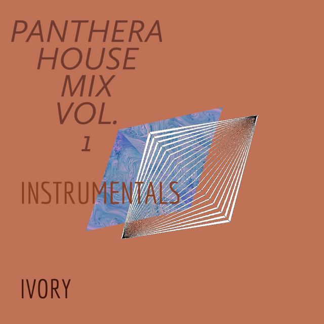 PANTHERA HOUSE MIX, Vol. 1 (INSTRU) cover art