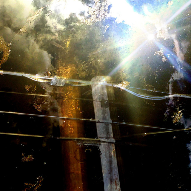 THE NEED FOR FORGIVENESS cover art