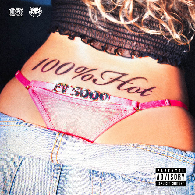 100%HOT cover art