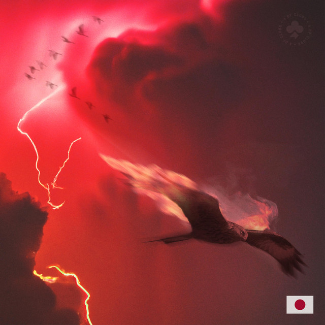 DIP cover art