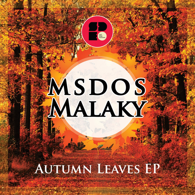 Autumn Leaves - Original Mix artwork