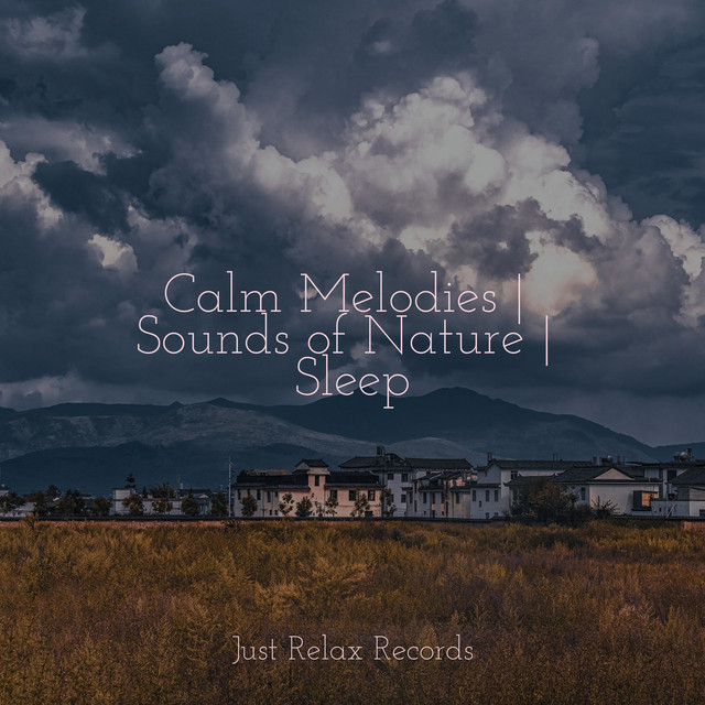 Calm Melodies | Sounds of Nature | Sleep - Album by Sleep Baby Sleep ...