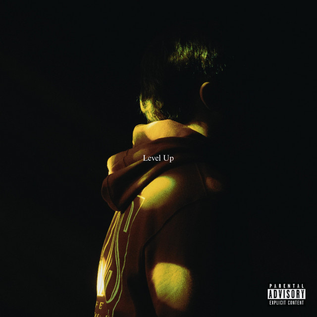 Level Up cover art