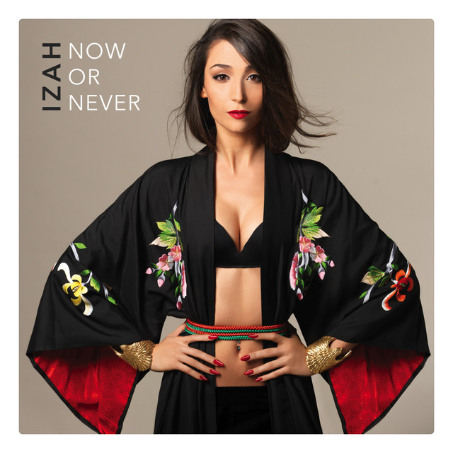 Now or Never cover art