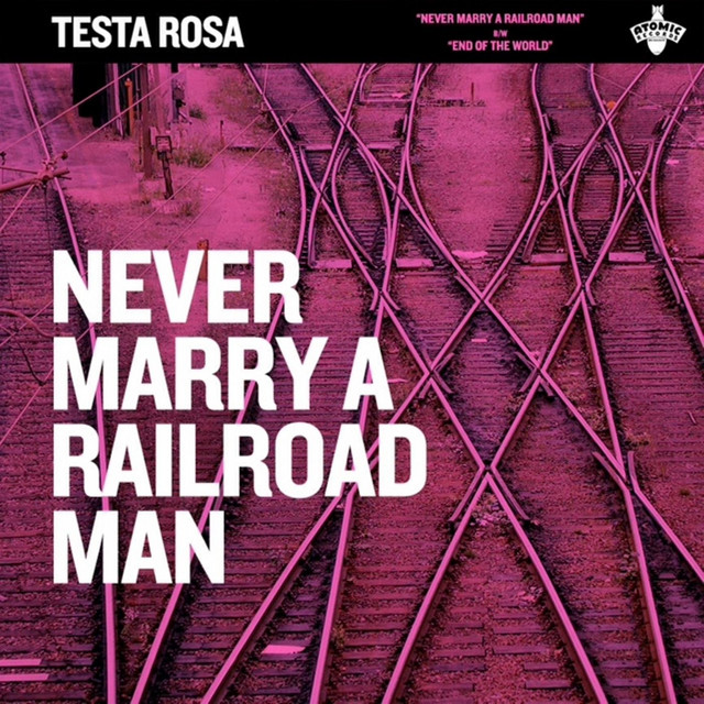 Never Marry a Railroad Man cover