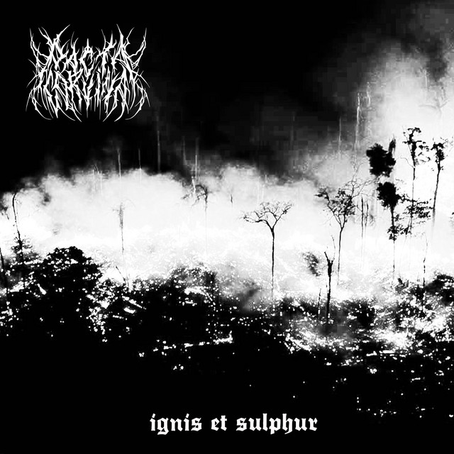 Ignis Et Sulphur cover art
