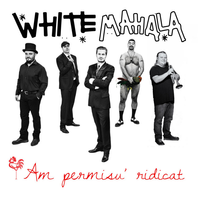 Am permisu' ridicat cover art