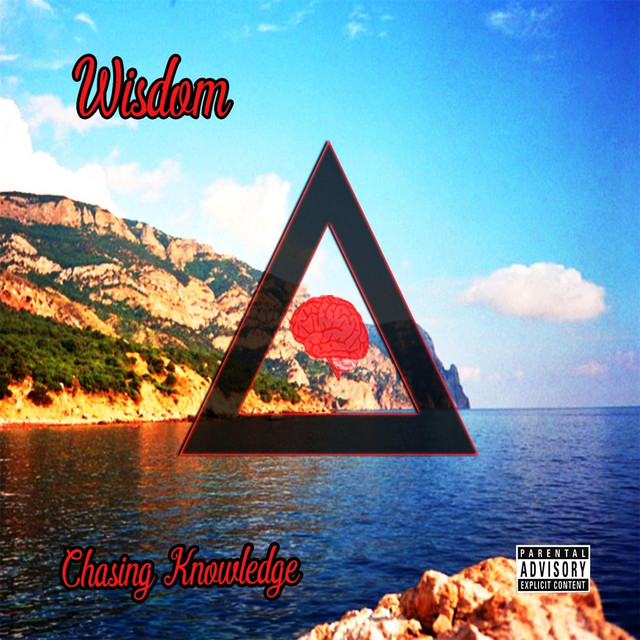Chasing Knowledge cover art