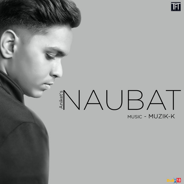 NAUBAT cover