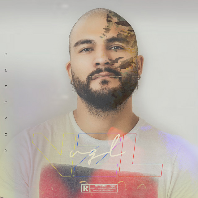 Vzl cover art