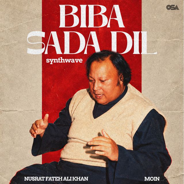 Biba Sada Dil (Synthwave) album image