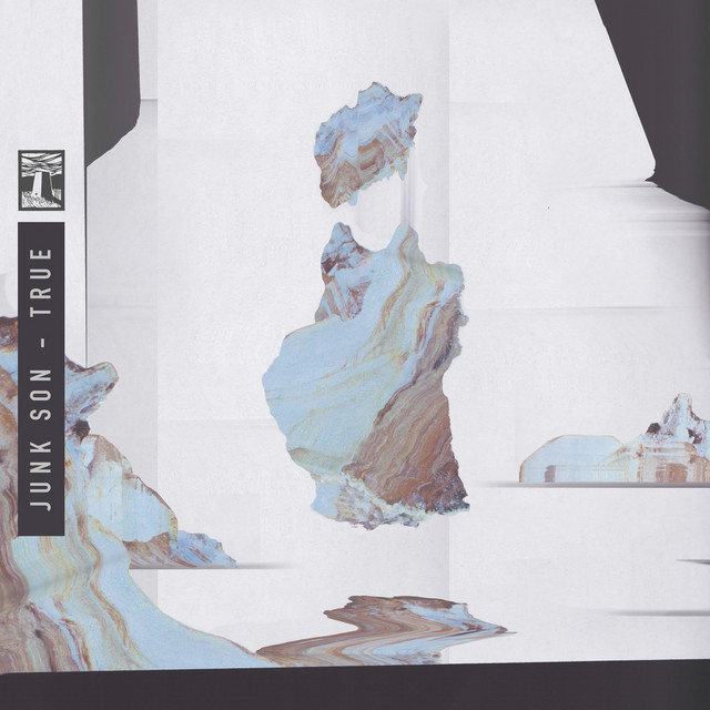 True cover art