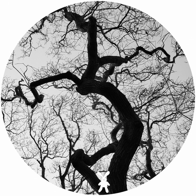 Afterlife cover art