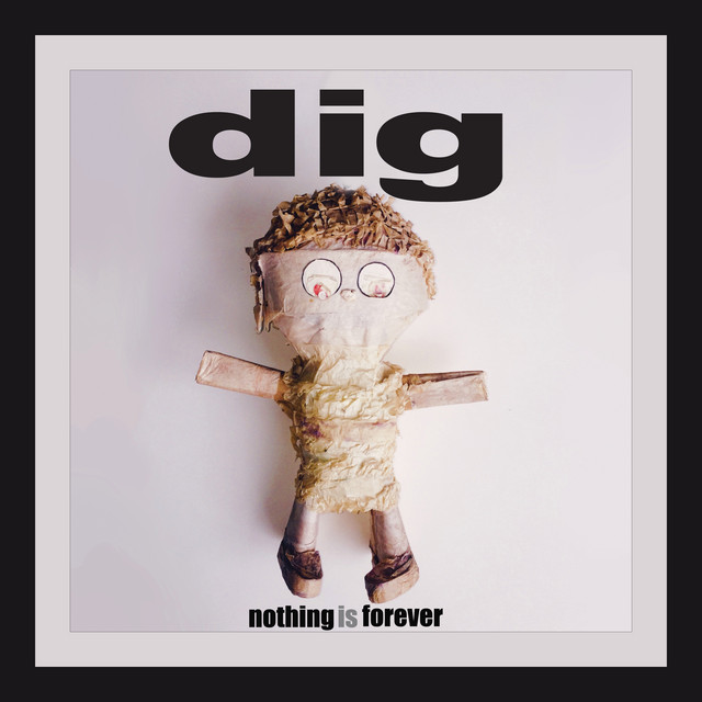 Nothing is Forever - Single by Dig | Spotify