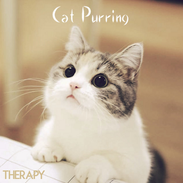Cat Purring Therapy cover art