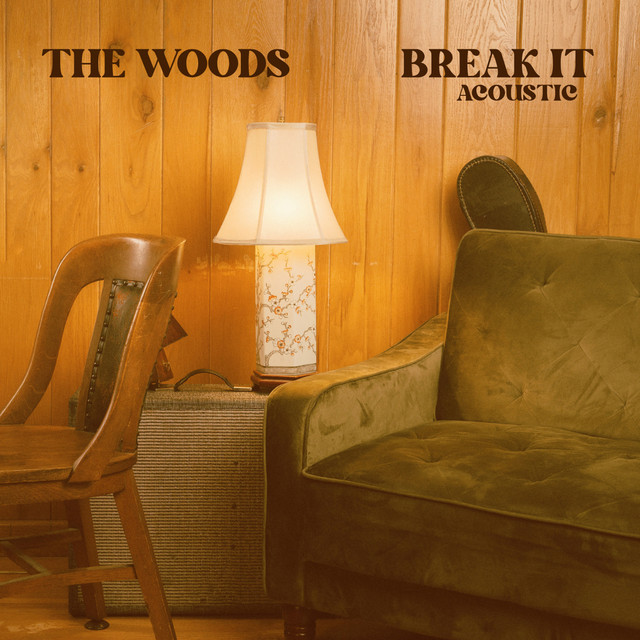 Break It (Acoustic) cover