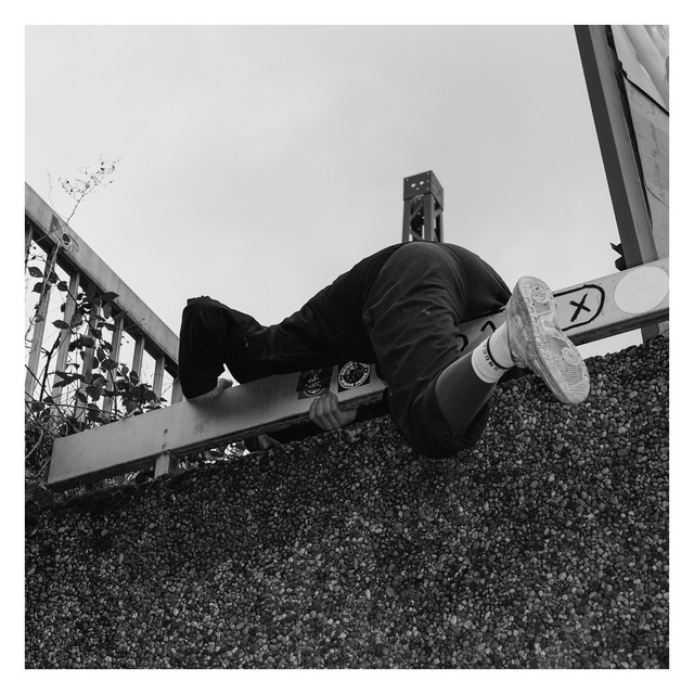 Vielleicht cover art