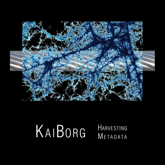 Harvesting Metadata cover art