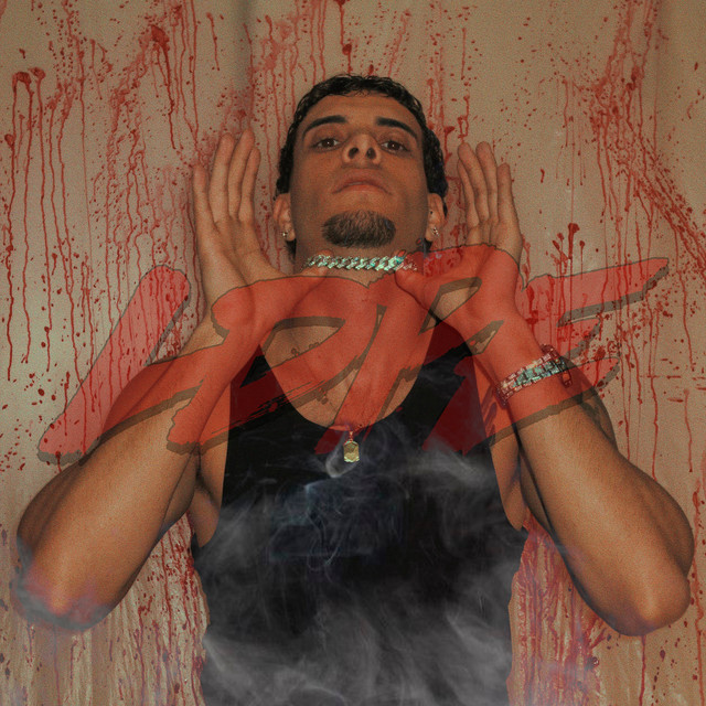 LDPE cover art