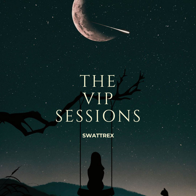 THE VIP SESSIONS V2 cover art
