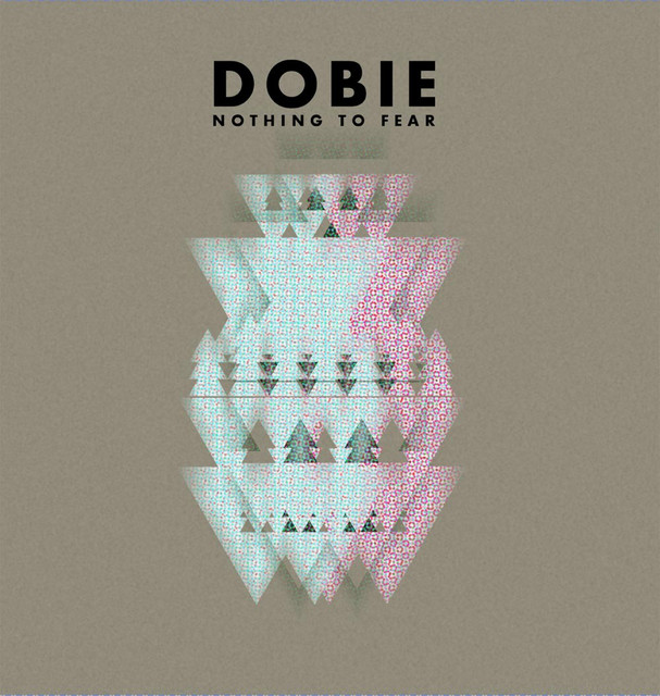 Nothing To Fear cover art