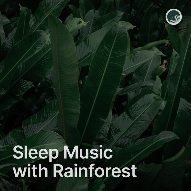 Sleep Music with Rainforest by Slumberjacks