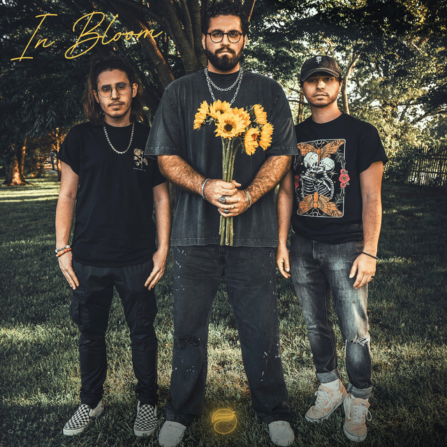 Bloom cover art