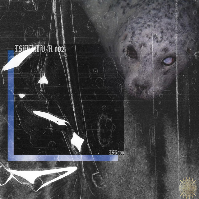 TSEKHI V/A 002 cover art
