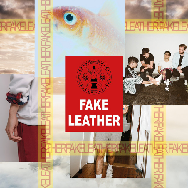 Fake Leather cover art