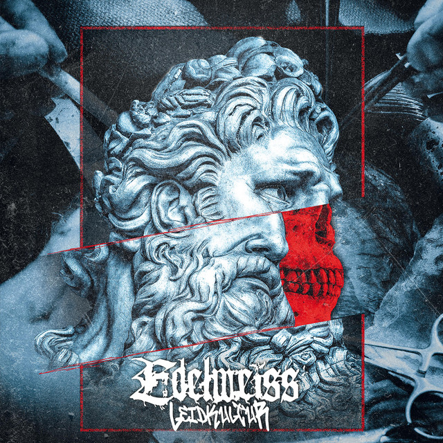 Leidkultur cover art
