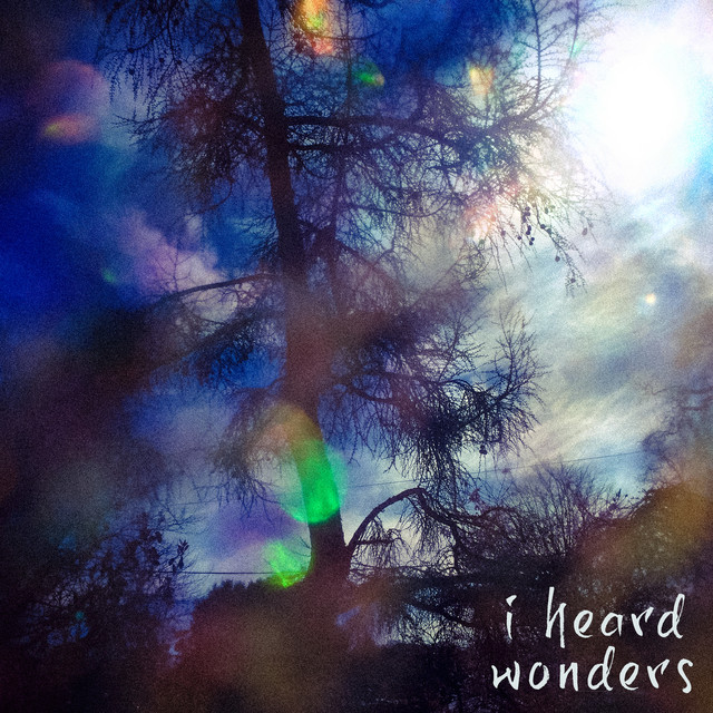 I Heard Wonders