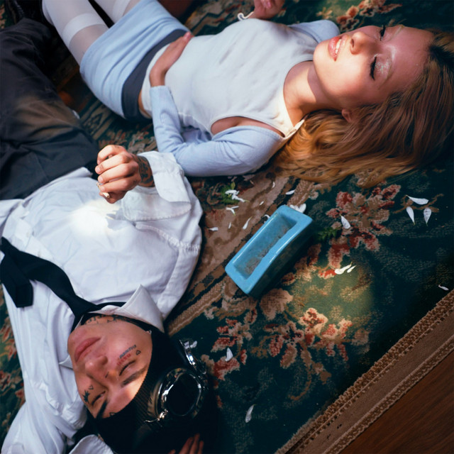 Y Porfa album image