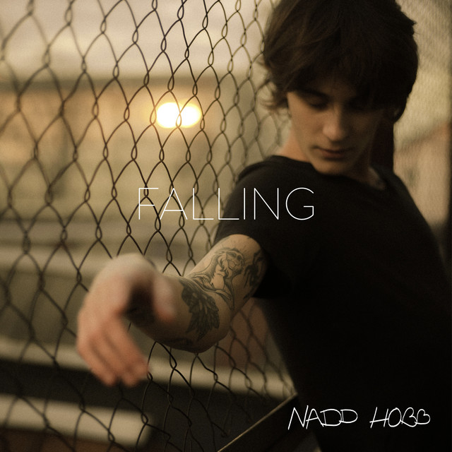 Обкладинка: Falling — NADD HOBB