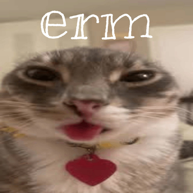 erm cover art