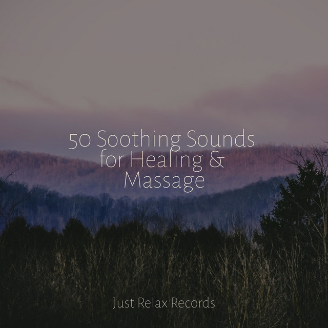 50 Soothing Sounds for Healing & Massage - Album by Easy Sleep Music ...