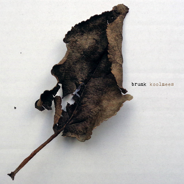 Koolmees cover